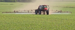 Agricultural vehicle spraying chemicals on a corn field